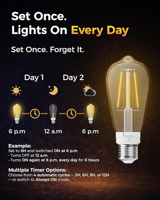 ST19 Timer Light Bulb 2 Pack: Vintage Edison LED Bulbs with Built-in Timer, 3H/6H/9H/12H Auto Modes, Warm White 2700K 600lm, E26 Base, No WiFi, Energy Saving Indoor/Outdoor Porch & Patio Light