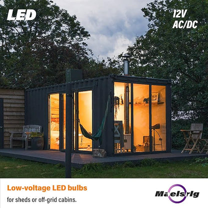 LED 12V Light Bulb, 100W Equivalent, Soft White 2700K, 13W 1200 Lumens, 12 Volt AC/DC, Non-Dimmable, E26 Base, Low Voltage Light Bulbs for Boat, RV, Shed, Off Grid Cabin, and Solar Power, 4-Pack