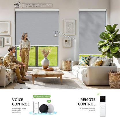 ZSTARR Motorized Smart Blind for Window with Remote Control, Automatic Blackout Roller Shade Customizable Size,with Valance Child Safety Rechargeable Battery Blinds (Light Grey)