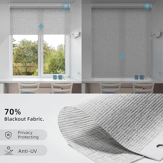 SmartWings Motorized Smart Roller Shades in Light Filtering, Electric Blinds with Remote for Windows Compatible with Alexa/Google Home/Homekit, Customized, Safari Translucent Smoke