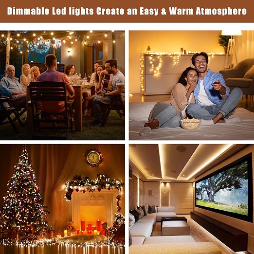 288W Dimmable LED Driver 24V with Junction Box,Triac ELV/MLV LED Transformer Compatible with Lutron&Leviton Switches,Dimmable Power Supply for Indoor/Outdoor Lights,UL&FCC-Listed