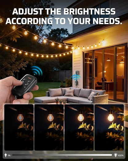 DEWENWILS Wi-Fi Matter Smart Dimmer Plug for String Lights, 2.4GHz Only | 100FT Range, Stepless Dimming, LED 150W/Tungsten 300W Bulbs Compatible, Works with Alexa, Google Home, SmartThings