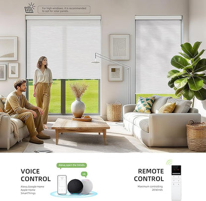 ZSTARR Motorized Smart Light Filtering Blind for Window with Remote Control, Automatic Blackout Roller Shade Customizable Size,with Valance Child Safety Rechargeable Battery Blinds(Light White)