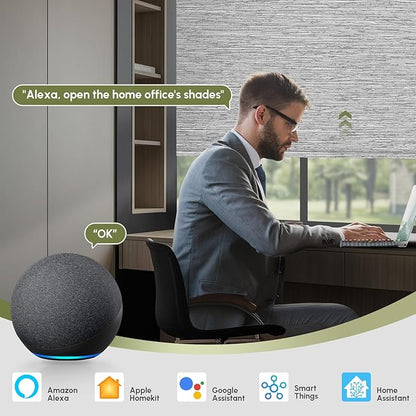 FineTell Motorized Blinds with Remote, 100% Blackout Roller Shades Compatible with Alexa,Apple Homekit,Google Home APP and Voice Control, Customized Electric Blinds (100% Blackout Dreamy Grey)