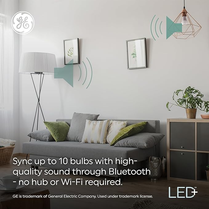 GE LED+ Speaker Soft White A21 (1-Pack)