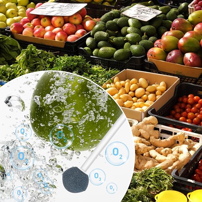 Multipurpose 800mg/h Ozone Machine,Ozone Bubbler for Purifying Water and Air,Portable Water Ozonator for Food F&V Home Hunting Cold Plunge Bathroom