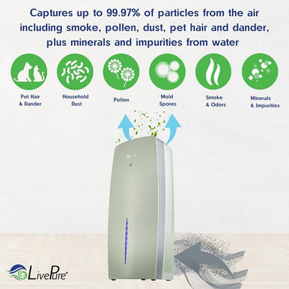 LivePure True HEPA Air Purifier & Humidifier, Sage