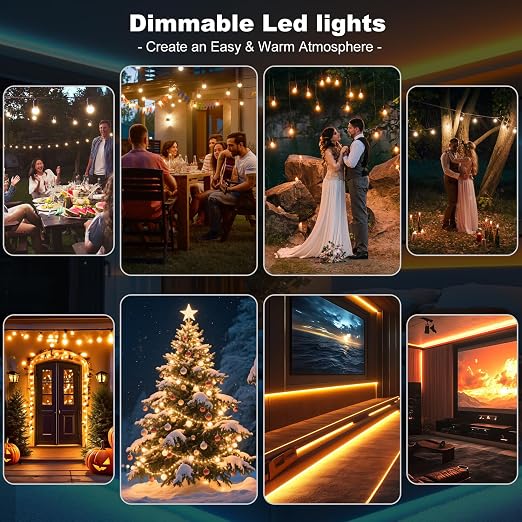 Dimmable LED Driver 24V 60W, 5-1 LED Transformer Compatible with Lutron and Leviton Dimmer Switch,Smooth Flicker Free Dimming, ETL& Class 2& FCC Certified, Triac/0-10V/RX/1-10V Dimmable Power Supply