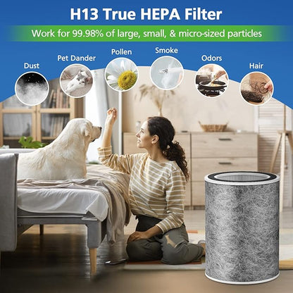 HP201 HP302 Replacement Filter Compatible with Shark HP201 HP302 HP301 HP202 HP232 HC502 AP1000 Air Purifier MAX, H13 True HEPA for 99.97% particles & Dust, Compare Part # HE2FKBAS, HE2FKBASMB, 2 Pack