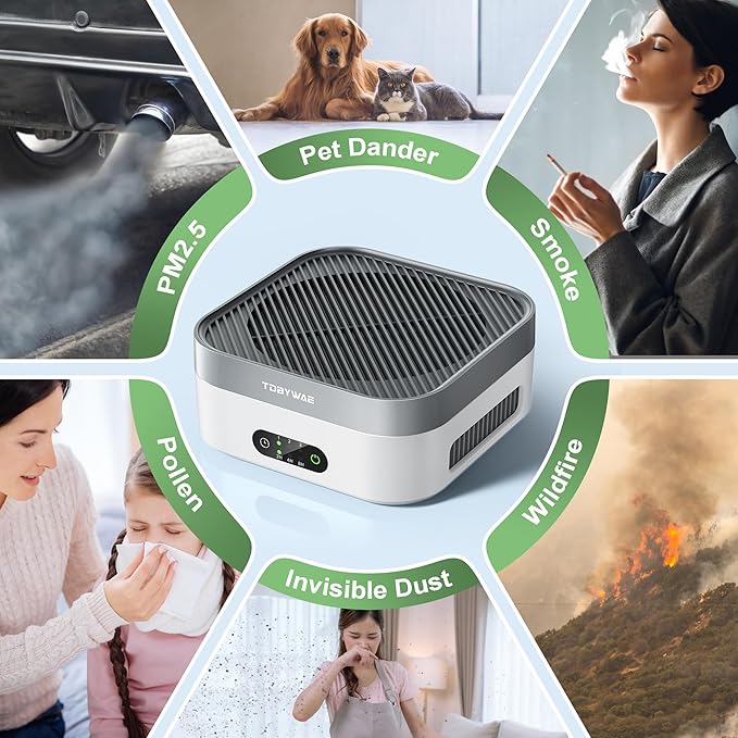 Air Purifiers for Home+ Air Purifier TDBYWAE Air Purifiers for Home Bedroom