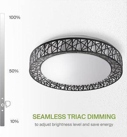 ASD 20 Inch Smart RGBW Flush Mount Ceiling Light with Remote - Matte Black 42W 120V 2700-6500K Dimmable Ceiling Light Fixture, WiFi App Control RGB Lights, Alexa & Google Assistant - ETL, 2 Pack