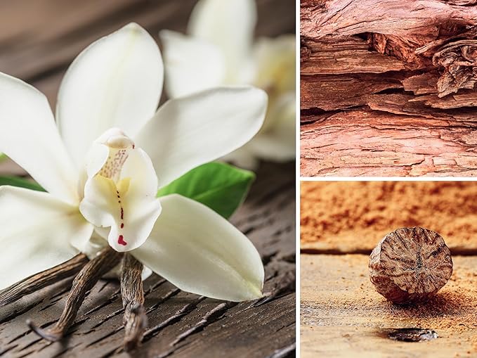AERA Velvet Woods – Smart Home Fragrance Capsule Refill – Notes of Vanilla Orchid, Nutmeg & Sandalwood – Woody Fresh Essential Oil Scent – 25mL Capsule Size Fits Diffuser