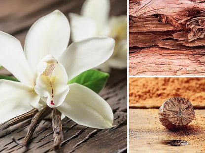 AERA Velvet Woods – Smart Home Fragrance Capsule Refill – Notes of Vanilla Orchid, Nutmeg & Sandalwood – Woody Fresh Essential Oil Scent – 25mL Capsule Size Fits Diffuser