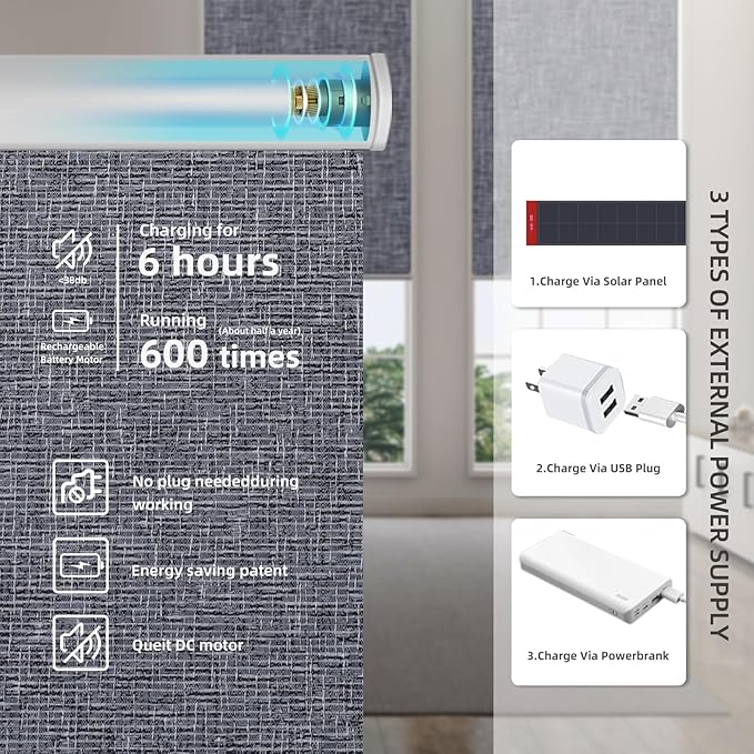 Motorized Blinds Roller Shade with Remote: Canisteo Automatic Smart Blind for Windows 100% Blackout, Electric Blinds Compatible with Alexa/Google Home/Apple Homekit, Customized Size,Noir Charcoal