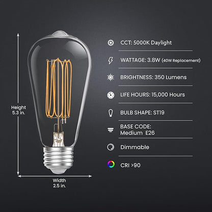 Feit Electric ST19 Vintage Edison LED Light Bulb, 40W Equivalent, Dimmable, 5000K Daylight, E26 Base, Clear Glass Thin Filament Lighting Bulbs, 15,000-Hour Lifetime, ST1940/950CATFIL/2, 2 Pack