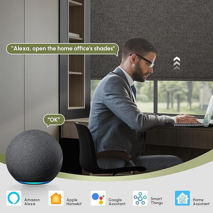 FineTell Motorized Blinds with Remote, 100% Blackout Roller Shades Compatible with Alexa,Apple Homekit,Google Home APP and Voice Control, Customized Electric Blinds (100% Blackout Classic Shadow)