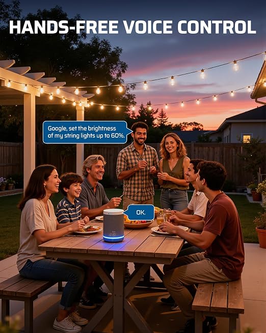 DEWENWILS Wi-Fi Matter Smart Dimmer Plug for String Lights, 2.4GHz Only | 100FT Range, Stepless Dimming, LED 150W/Tungsten 300W Bulbs Compatible, Works with Alexa, Google Home, SmartThings
