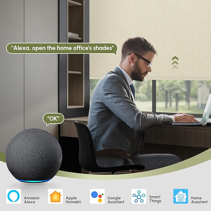 FineTell Motorized Blinds with Remote, 100% Blackout Roller Shades Compatible with Alexa,Apple Homekit,Google Home APP and Voice Control, Customized Electric Blinds (100% Blackout Dual Sided Beige)