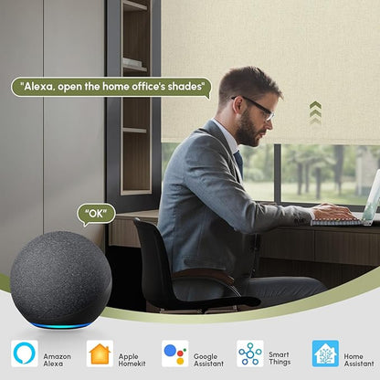 FineTell Motorized Blinds with Remote, 100% Blackout Roller Shades Compatible with Alexa,Apple Homekit,Google Home APP and Voice Control, Customized Electric Blinds (100% Blackout Dual Sided Beige)