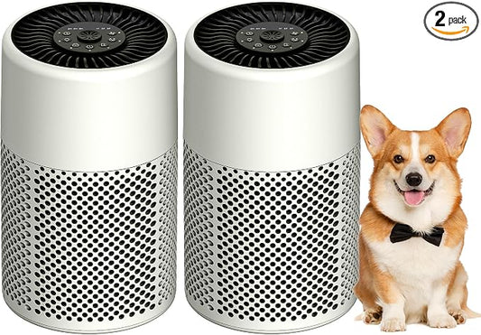 Air Purifiers for Bedroom, Dorm Room, True HEPA Filter for Smoke, Beige