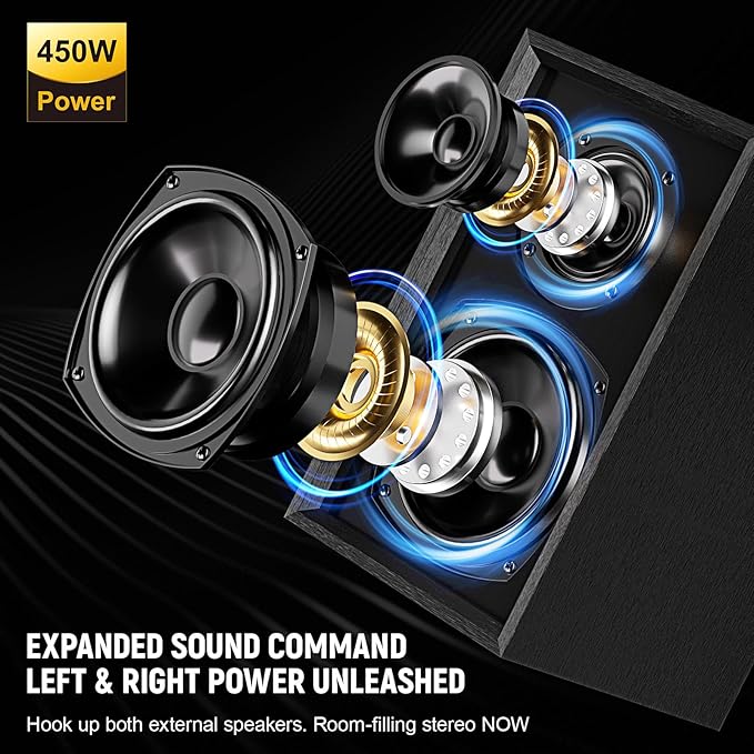 Home Karaoke System with Wireless Microphones & Speakers, Bluetooth Amplifier Set for Family Parties & Home Entertainment