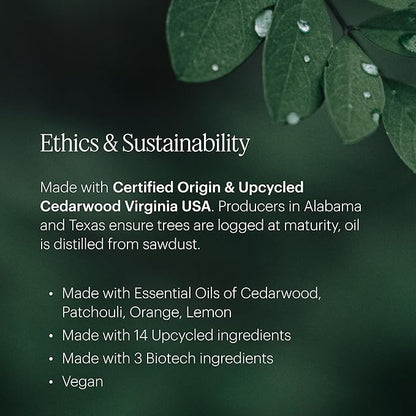 Aera Indigo - Essential Oil for Home - Crisp Apple and Cedarwood Fragrance - Notes of Citrus, Jasmine and Sandalwood- Scent Refill - Works with The Aera Diffuser