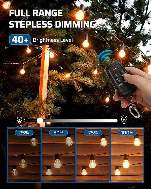 DEWENWILS Outdoor Dimmer for String Lights, 125V Dimmer Switch with 100FT Control Range, Weatherproof Outdoor Dimmer Plug for Dimmable LED/Tungsten Bulbs