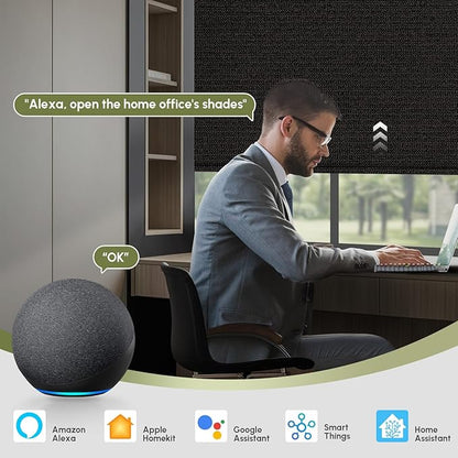 FineTell Motorized Blinds with Remote, 100% Blackout Roller Shades Compatible with Alexa,Apple Homekit,Google Home APP and Voice Control, Customized Electric Blinds (100% Blackout Eclipse Black)