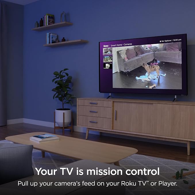 Roku CS1000R Smart Home Indoor Camera SE - Wired Security Camera with Motion & Sound Detection