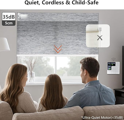 Motorized Light Filtering Roller Shades – Smart Electric Blinds for Living Room, Alexa Google Home Siri, Matter Compatible, Custom Window Shades, Cordless Rechargeable