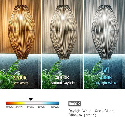 12 PCS ST58 (ST19) LED Edison Bulbs, Dimmable Vintage Antique LED Filament Light Bulbs, 6W Equivalent 60 Watt, Daylight 5000K, 600 Lumens, E26 Base, Clear Plastic