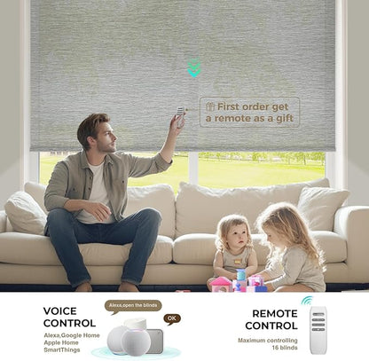 HeyBlinds Motorized Blinds with Remote, Smart Roller Shades with App & Voice Control, Work with Alexa Google HomeKit, Light Filtering Custom Shades for Living Room Office (Light Chaser-Silver Gray LF)