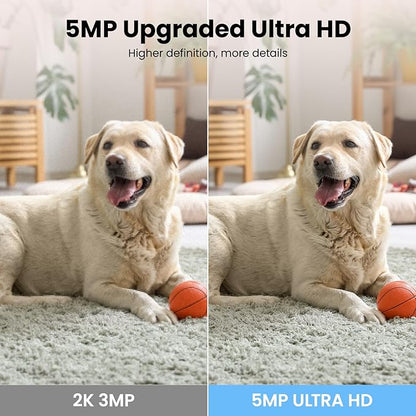 wansview 5MP UHD Pet Camera with Phone app, 5Ghz&2.4Ghz Dual Wi-Fi Security Camera Indoor for Monitoring Home/Baby/Cat/Dog, 2 Way Audio, 24/7 TF Card Storage(TF Card Not Included), Q5 (White)