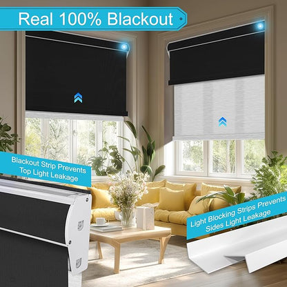 BERISSA Smart Motorized Dual Roller Shades with Remote,APP/Voice Control Blackout&Light Filtering Double Roller Blinds for Windows,Automatic Electric Shades with Solar Pannel.Custom Size