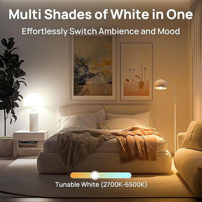 Linkind ST58 Smart Edison Bulbs 4 Pack Bundle with A19 Tunable White (2700K-6500K) Smart Light Bulbs 4 Pack, Compatible with Alexa & Google Home