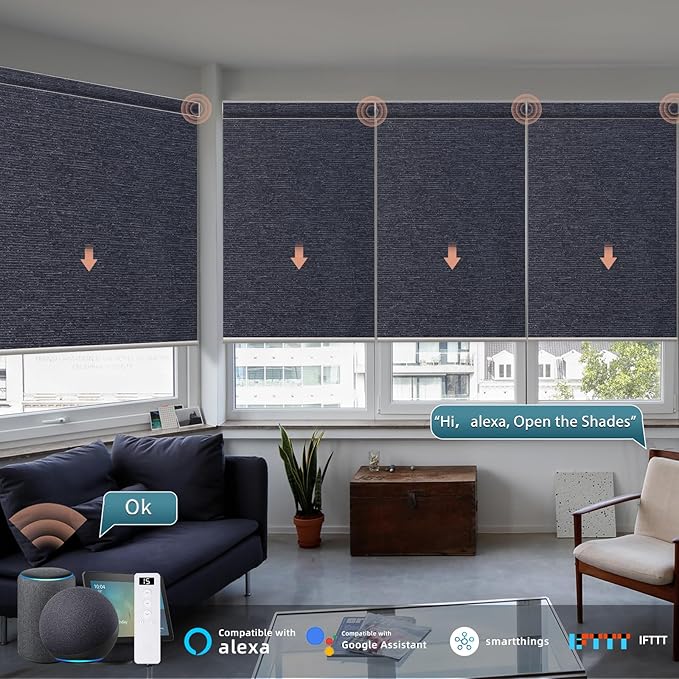 Motorized Roller Shade: 100% Blackout, Electric Blinds, Compatible with Alexa/Google Home/Apple Homekit, Custom Size, Noir Raven Black