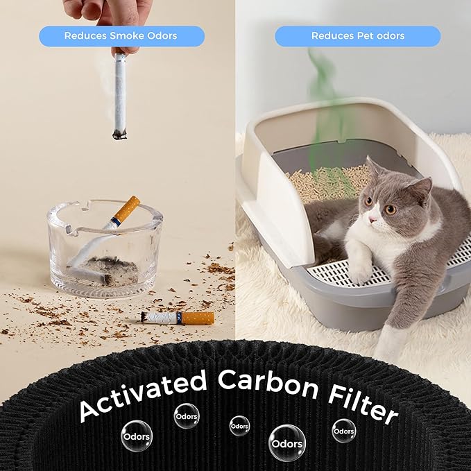Small Desktop Air Purifier with HEPA Filter for Home and Office, Large Touch Display with Filter Indicator, Timer, Sleep Mode, Covers up to 250 Sq.Ft