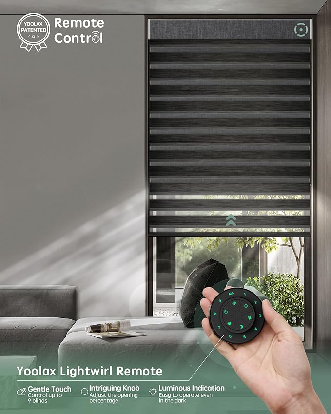 Yoolax Motorized Dual Roller Shade, 60x60in, Zebra Black, Solar Powered, Compatible with Alexa, 100% Blackout Fabric, Light Filtering, Remote Control, Inside Mount
