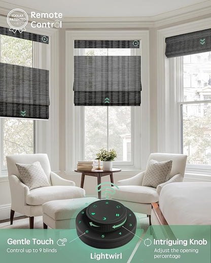 Yoolax Smart Top Down Bottom Up Roman Shades, Motorized Roman Shades with Remote, Light Filtering Smart Blinds Work with Alexa, Google, Apple Homekit for Living Room, Customized (Strip Dark Grey)