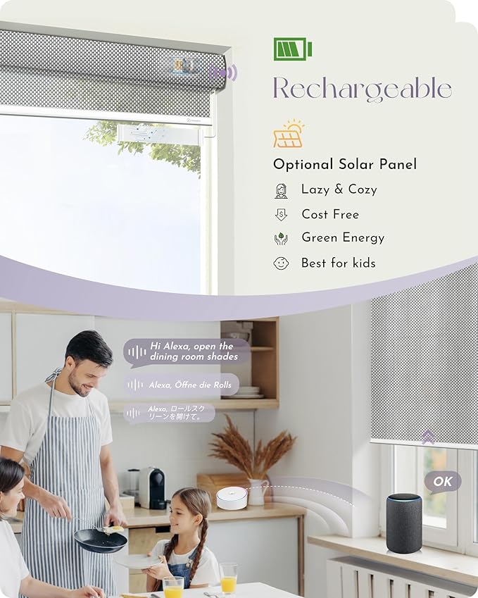 Graywind Motorized Solar Shades Light Filtering Mesh Shade Compatible with Alexa Google Remote Control Window Blinds with Valance for Smart Home Office Business, Custom Size (3% Openness Silver)