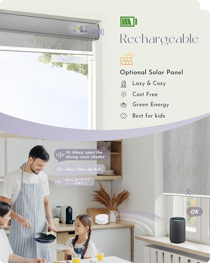 Graywind Motorized Solar Shades Light Filtering Mesh Shade Compatible with Alexa Google Remote Control Window Blinds with Valance for Smart Home Office Business, Custom Size (3% Openness Silver)