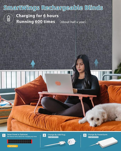 SmartWings Motorized Smart Blinds with Remote, Custom Automatic 100% Blackout Roller Shade Compatible with Alexa/Homekit/Google, Electric Smart Blinds for Indoor Windows, Eclipse Charcoal