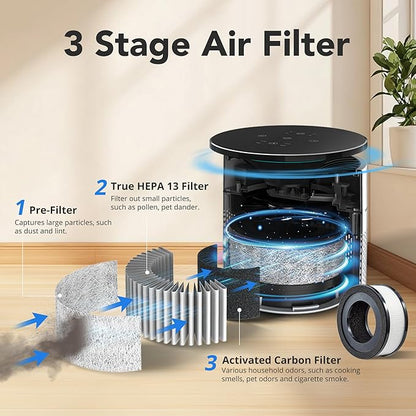 Small Desktop Air Purifier with HEPA Filter for Home and Office, Large Touch Display with Filter Indicator, Timer, Sleep Mode, Covers up to 250 Sq.Ft