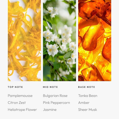 Aroma360 - Fly Smart Car Diffuser Oil | Aromatherapy Oil for Cars |Pamplemousse, Citron Zest, Heliotrope Flower, Bulgarian Rose, Pink Peppercorn, Jasmine, Tonka Bean, Amber, Sheer Musk, Patchouli 20mL
