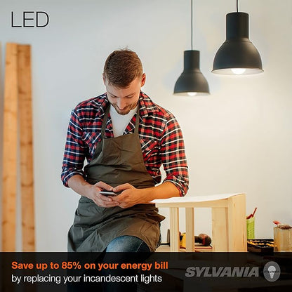 Sylvania LED Light Bulb, A19, 100W Equivalent, Efficient 16W, 13 Year, Medium Base, Dimmable, Frosted, 2700K, Soft White - 4 Pack (40737)