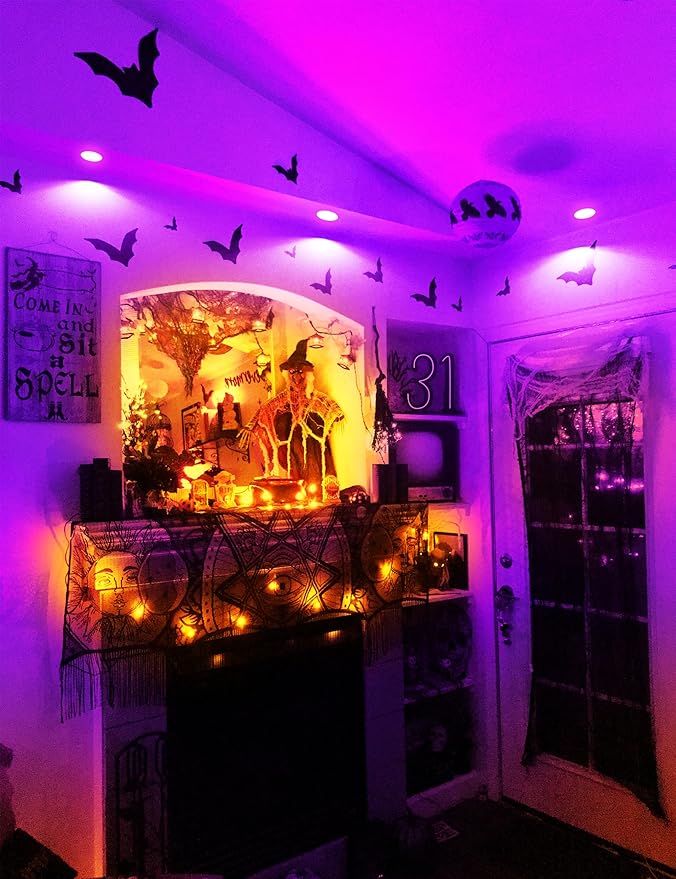 JandCase BR30 Halloween Light Bulbs, E26 Base Halloween Purple Indoor Flood Light Bulbs, 11W(65W Equivalent), Purple Flood Light Bulbs for Halloween Decoration,Not-Dimmable, 2 Pack