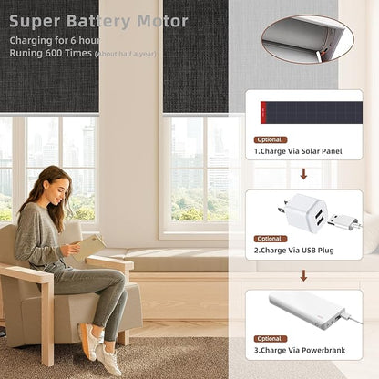 Motorized Blinds Roller Shade with Remote: Canisteo Automatic Smart Blind for Windows 100% Blackout, Electric Blinds Compatible with Alexa/Google Home/Apple Homekit, Customized Size, Neat Dark Grey