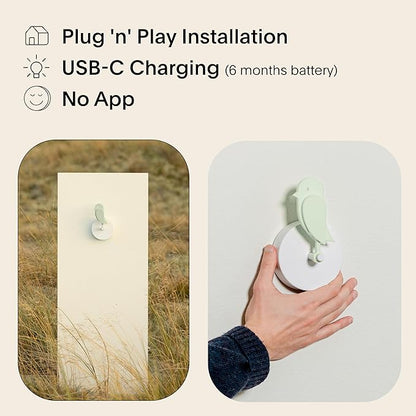 Birdie 2.0 - Design Indoor CO2 Monitor for House Burping - Air Quality Meter for Home & Office -Visual Air Quality Sensor for Fresh Air - Wall Mounted -Swiss Sensor Technology-Meadow, FullBirdie