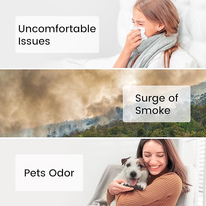 Smartmi Replacement Filter for Air Purifier P1, H13 True HEPA Filter, Preliminary Layer and Inner Filter, Absorbs Pollen, Odors, Smog, Smoke and Pet Hair at Home, Office