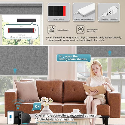 SmartWings Motorized Blinds Dual-Sided Cordless Smart Blackout Shades, Custom Size, Rechargeable Battery, Work with Matter/Apple HomeKit, Alexa, Thread/Zigbee, Remote Optional, Bouvardia Medium Grey